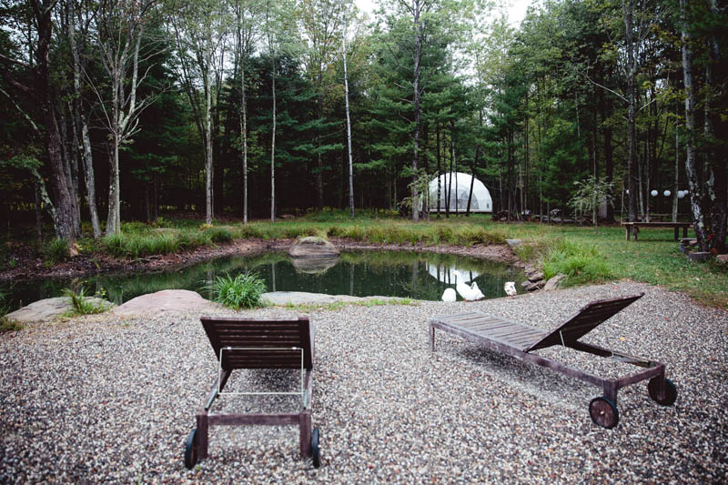 Dome 2
